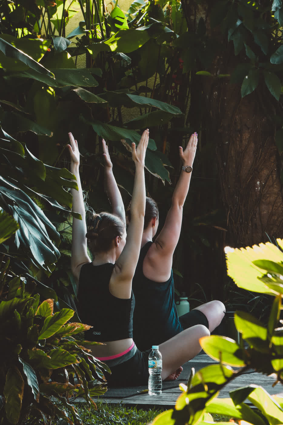 Yoga zwischen tropischen Pflanzen