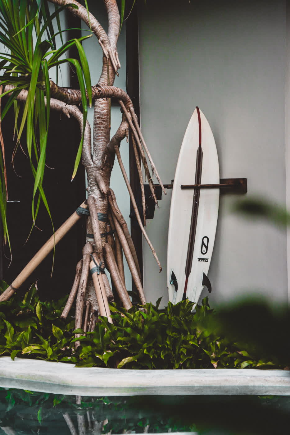 Surfboard an einer Palme am Pool